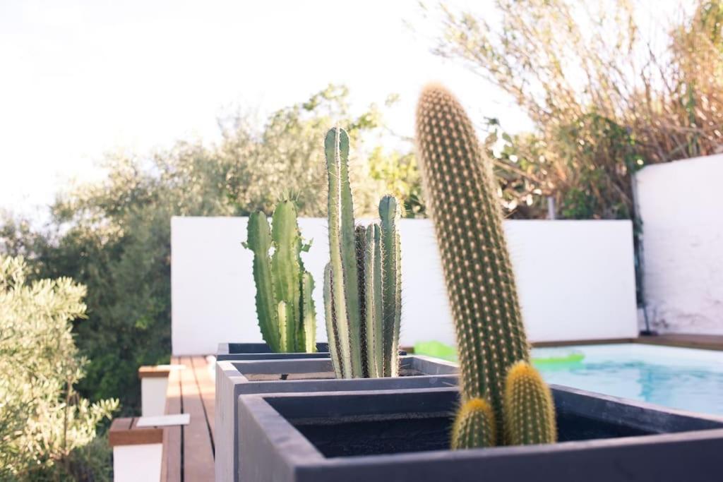 Casita Avec Superbe Vue Et Piscine Privee Apartment Algodonales Exterior foto